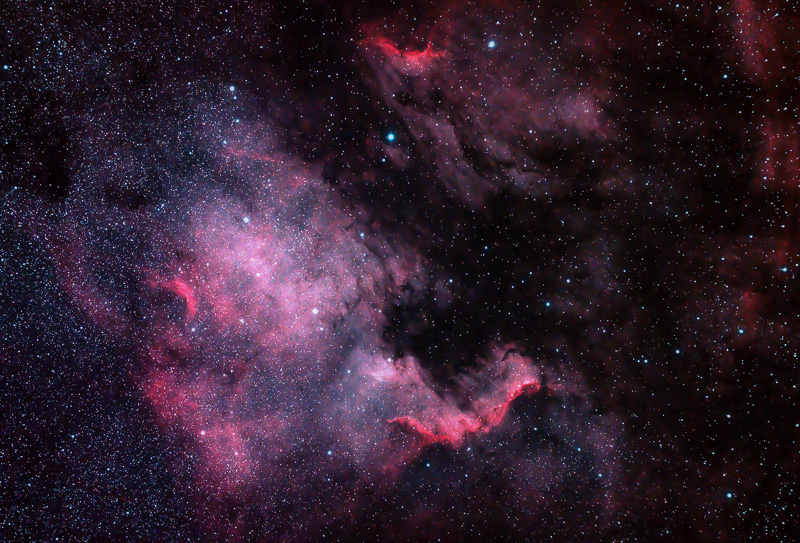 NGC7000