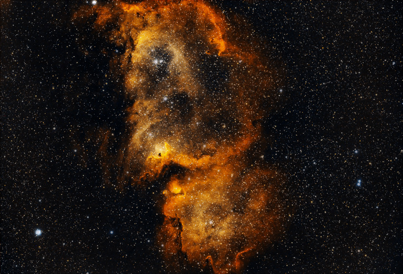 NGC1848